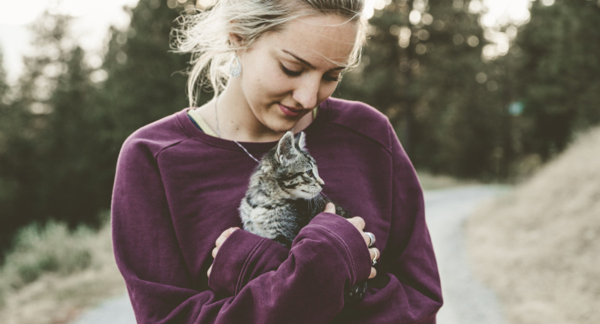 Los felinos ayudan emocionalmente a los humanos. Foto: Unsplash