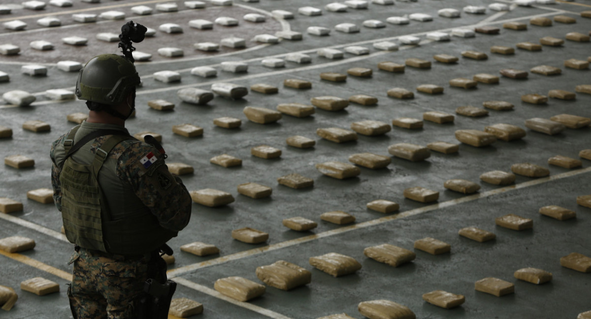 Lucha contra el narcotráfico en Colombia. Foto: EFE