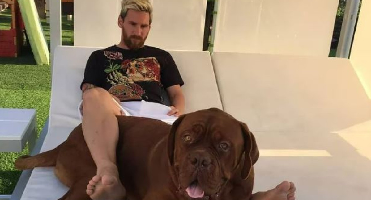 Hulk es raza Dogo de Burdeos y tiene 7 años. Foto: Instagram @leomessi.