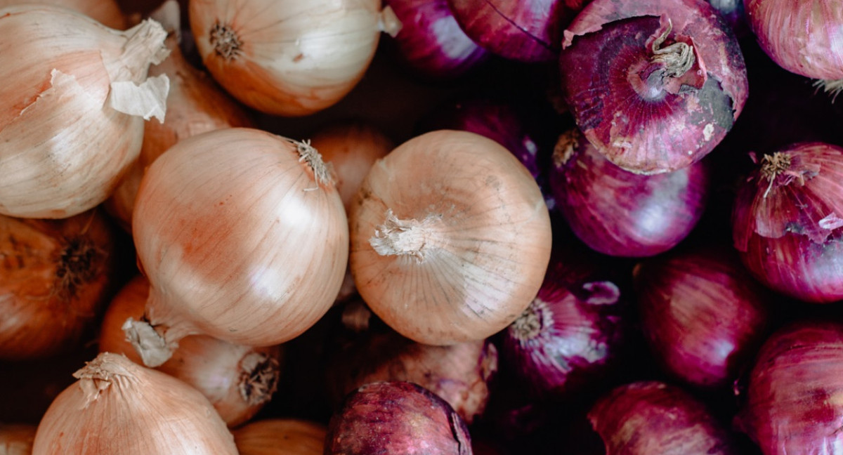 Las cebollas tienen aceites esenciales y flavonoides. Foto: Unsplash.