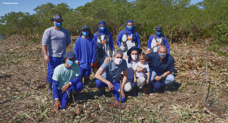 Equipo OceanPact en la reforestación de manglares. Foto: OceanPact.