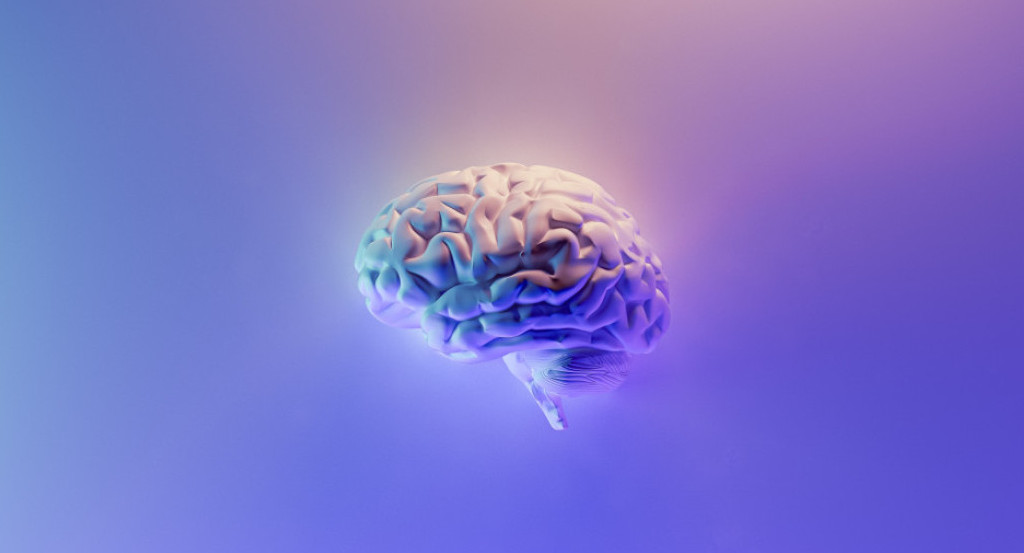 El cerebro humano y el cambio climático. Foto: Unsplash