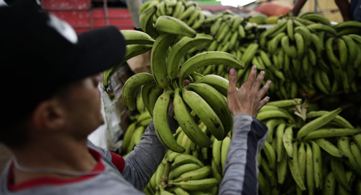 Según los expertos, las dietas se han "occidentalizado". Foto: EFE.