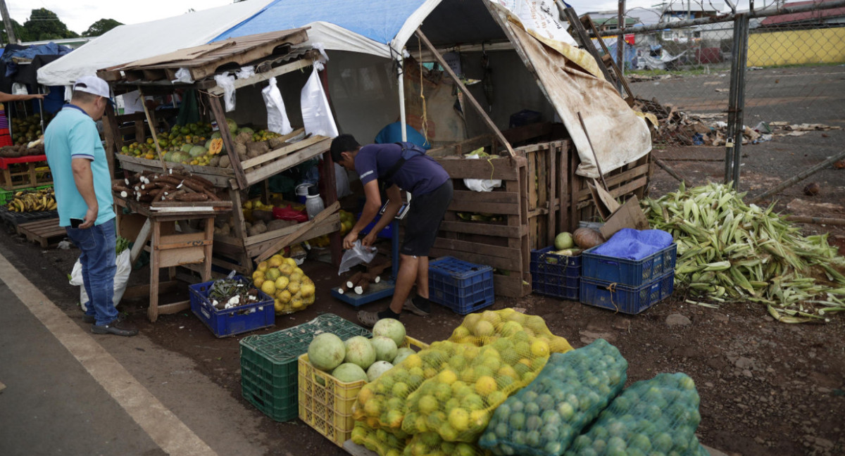 La FAO acompaña a los países de la región en la promoción de las dietas saludables mediante instrumentos de apoyo a políticas públicas. Foto: EFE.