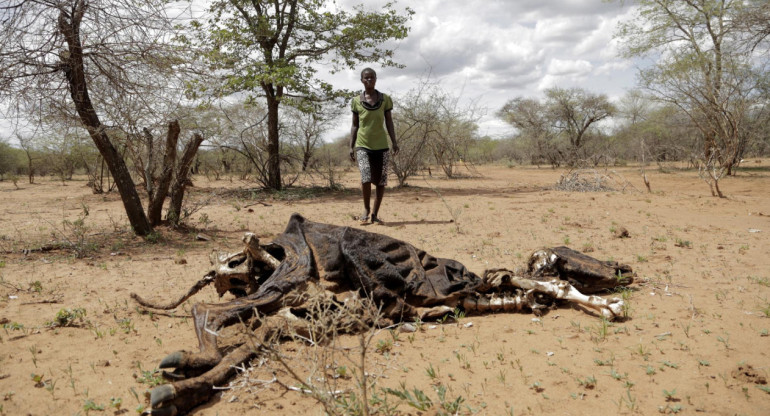 Un agricultor contempla los restos de una vaca fallecida. Foto: EFE.