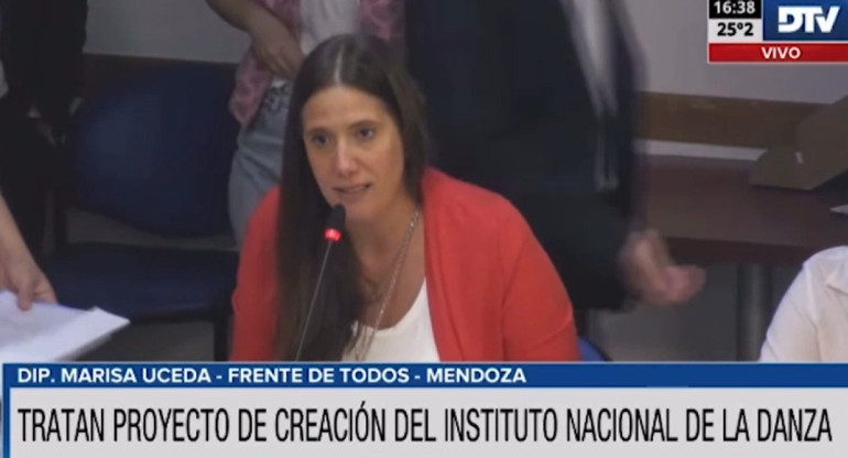 Avance de la Ley Nacional de Danza en la Comisión de Cultura de la Cámara de Diputados. Foto: Captura de video.