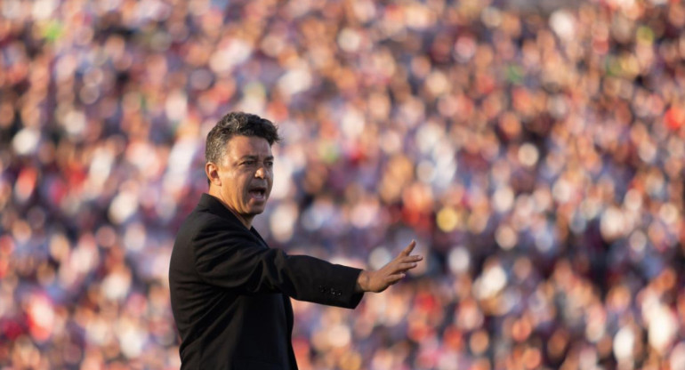 Marcelo Gallardo, director técnico. Foto: EFE