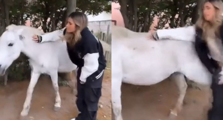 Julieta Poggio fue pateada por un caballo. Foto: captura.