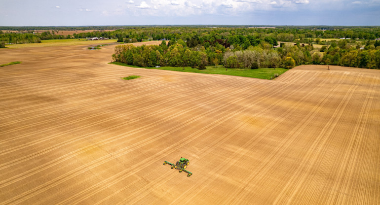 Agroquímicos y pesticidas en los alimentos: alerta por los cultivos genéticamente modificados. Foto: Unsplash.