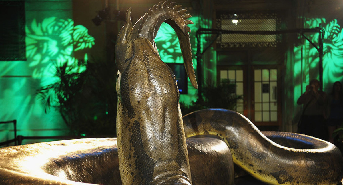 Titanoboa cerrejonensis. Foto: National Geographic en Español.