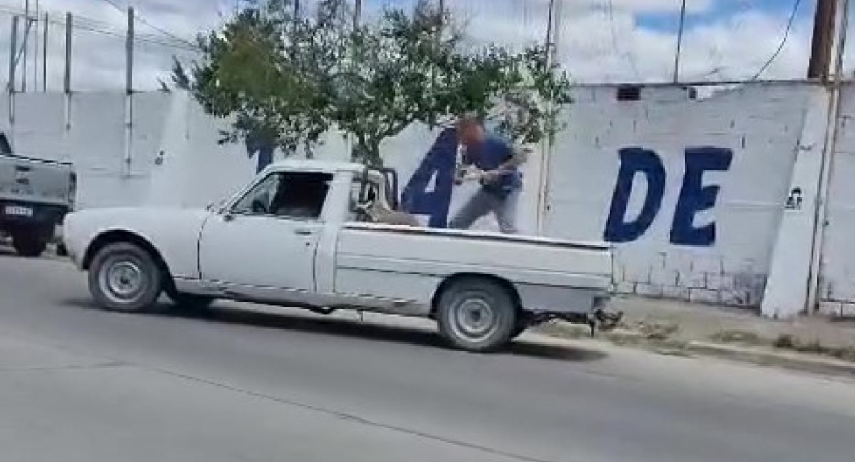 Un hombre le destrozó la camioneta a su amigo porque se negó a regalarle huevos de gallina. Foto: Captura de pantalla.