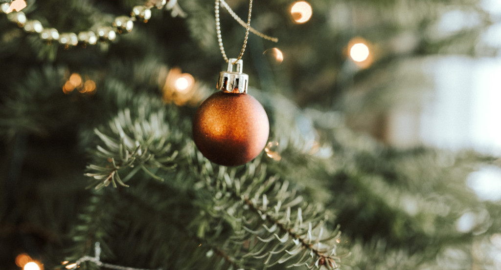 Arbolito de navidad. Foto: Unsplash