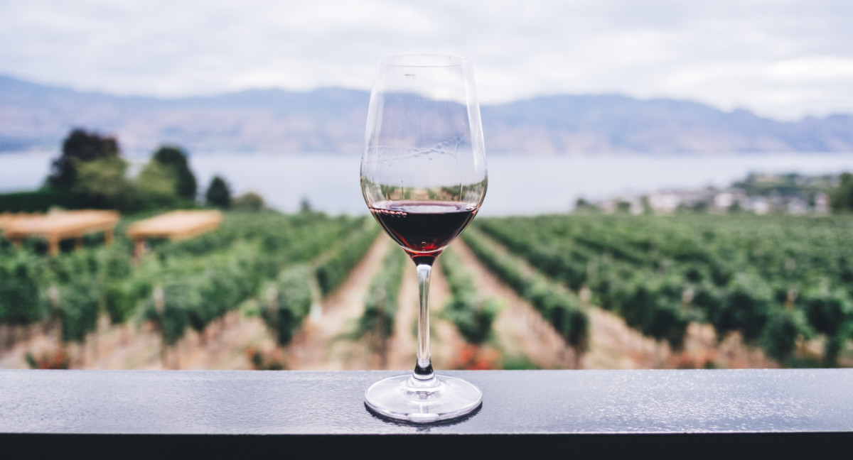 Vino. Foto: Unsplash.