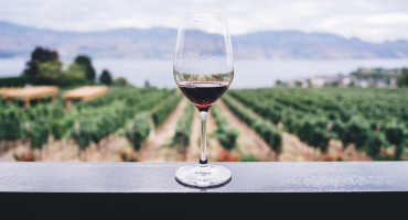 Vino. Foto: Unsplash.