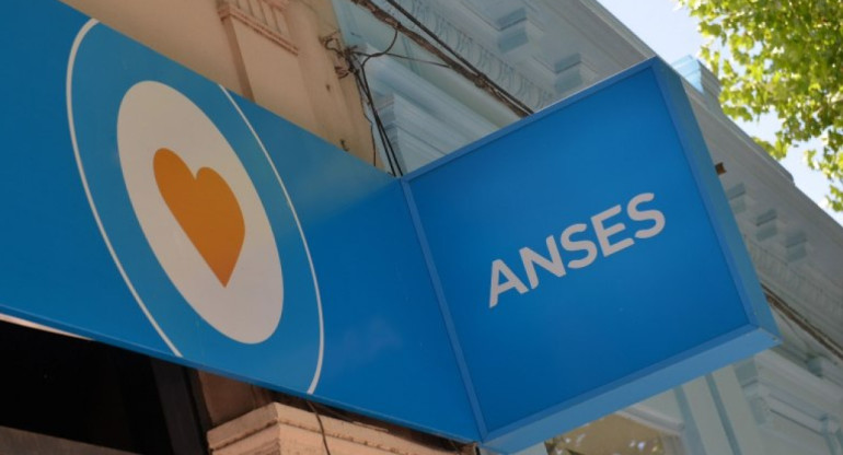 ANSES. Foto: NA.