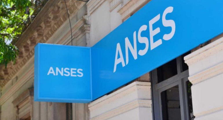 ANSES. Foto: NA.