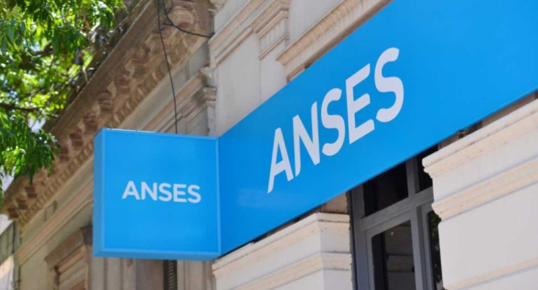 ANSES. Foto: NA.