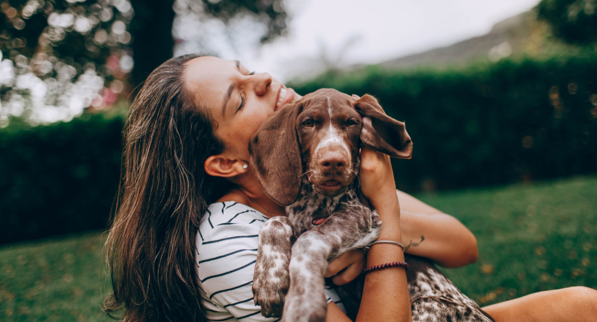 Crean una droga para alargar la vida de los perros. Foto: Unsplash