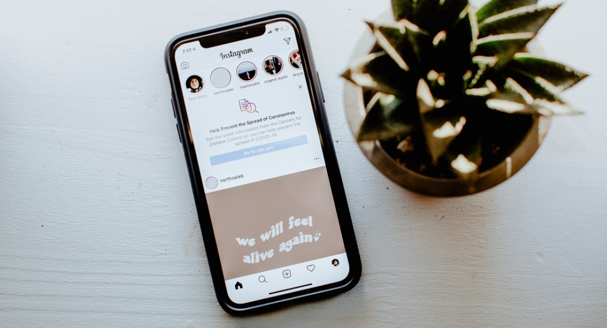 El truco para bloquear publicaciones sugeridas en Instagram. Foto: Unsplash.