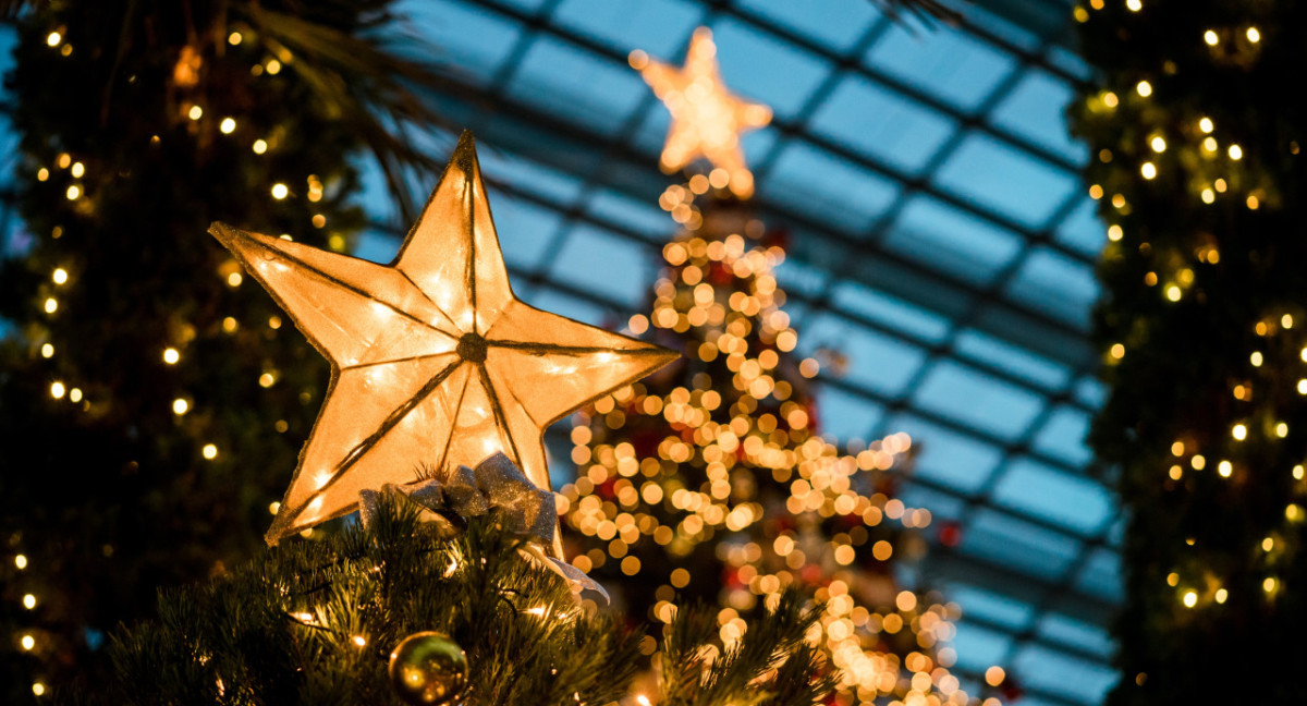 Árbol de Navidad. Foto: Unsplash.