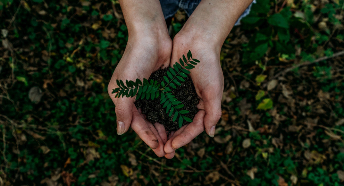 Cuidado de planeta fuente: unsplash