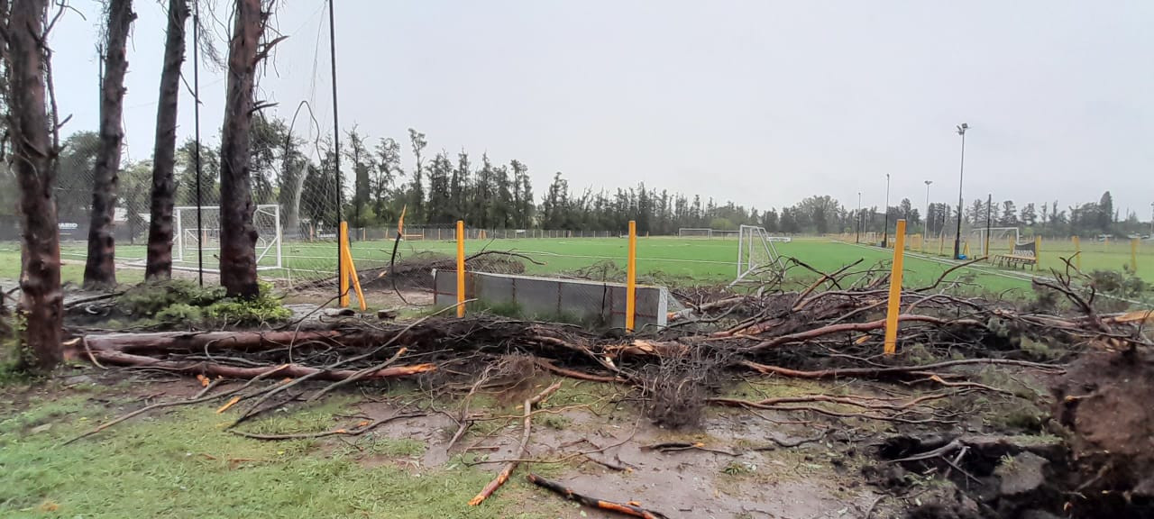 Club Flandria. Foto: X/mundoascenso