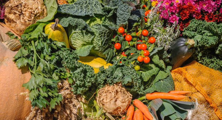 Frutas y verduras. Foto: Unsplash