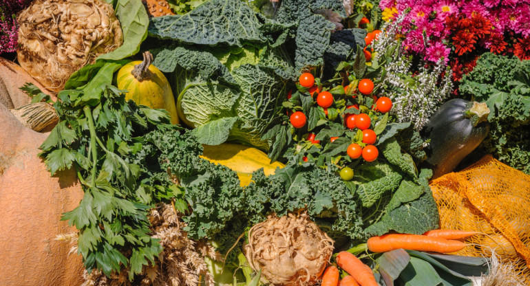 Frutas y verduras. Foto: Unsplash