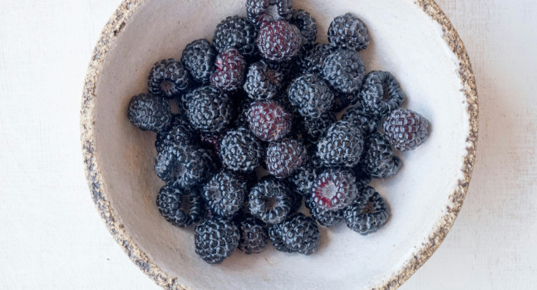 Moras. Foto Unsplash.