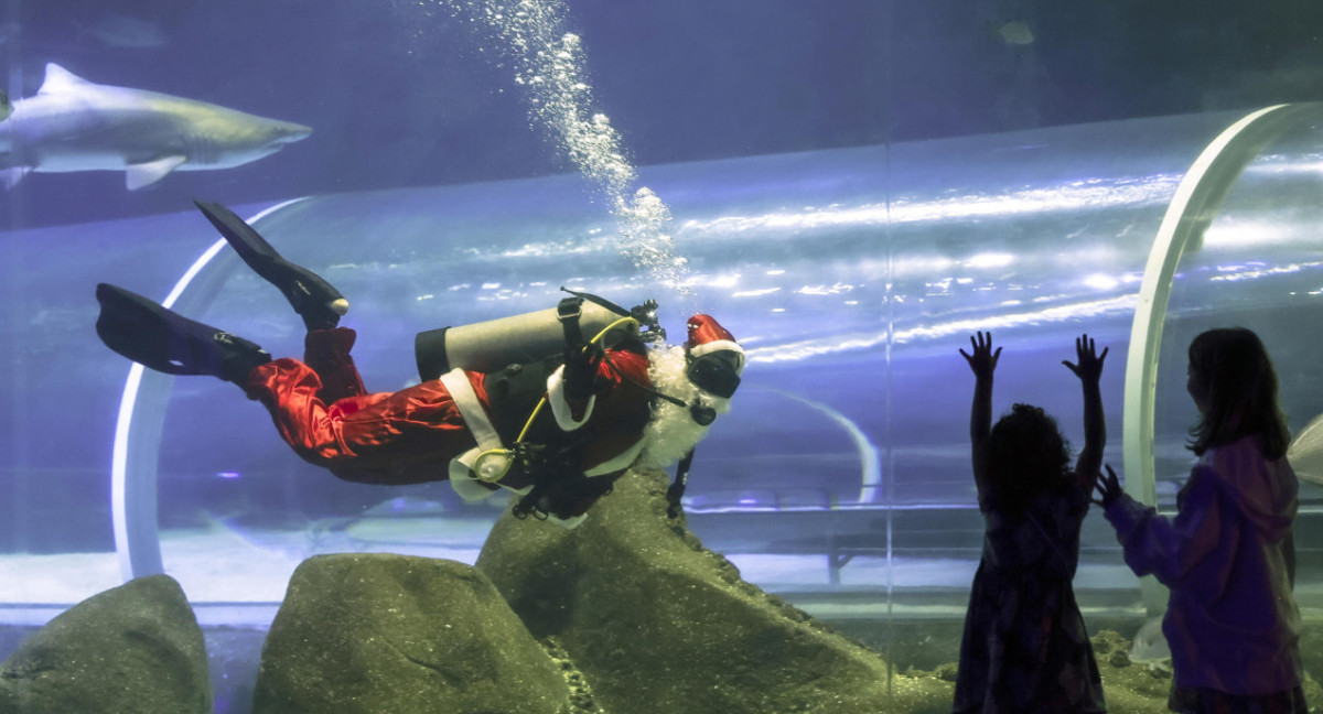 Papá Noel nadó con los tiburones en el acuario de Río de Janeiro, Brasil. Foto: EFE.