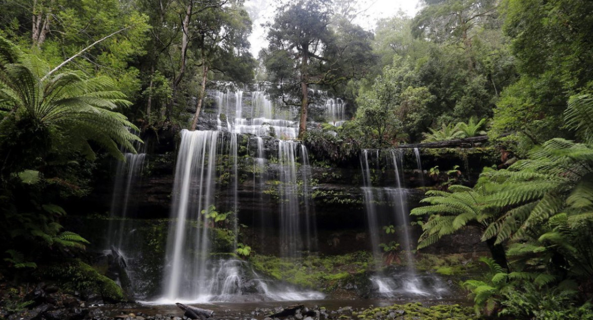 Tasmania. Foto: EFE