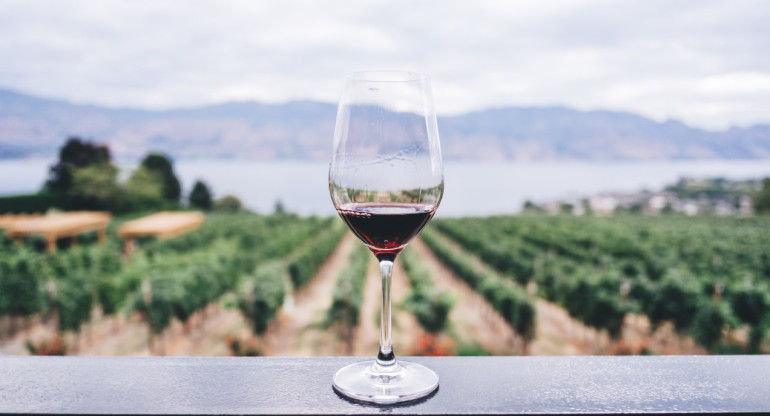 Vino, bebida alcohólica, vid. Foto: Unsplash