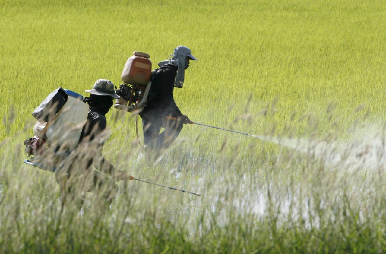 Uso de pesticidas. Foto: EFE