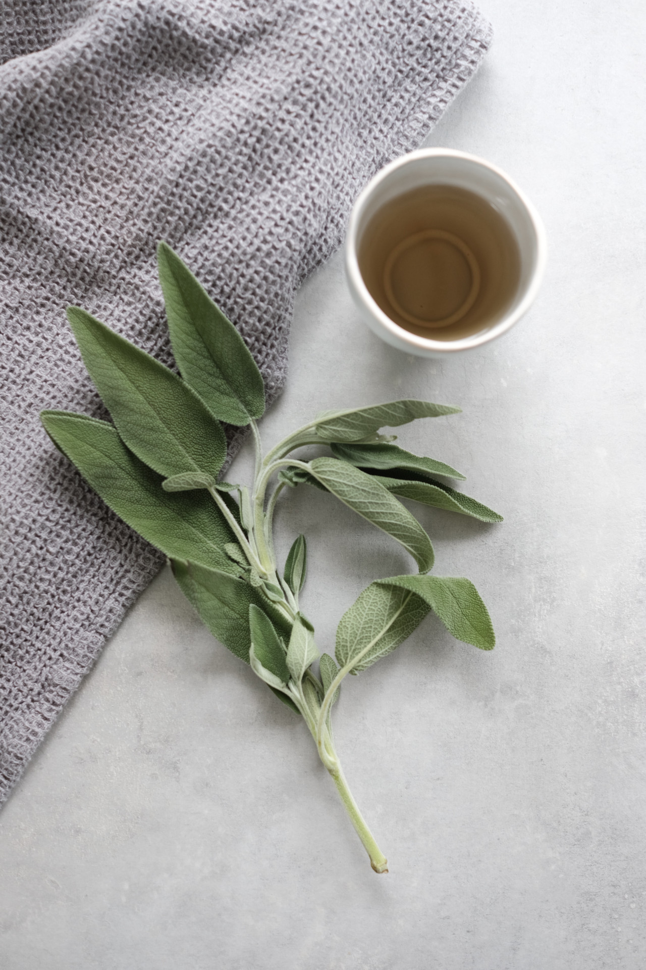 Té de salvia. Foto: Unsplash.