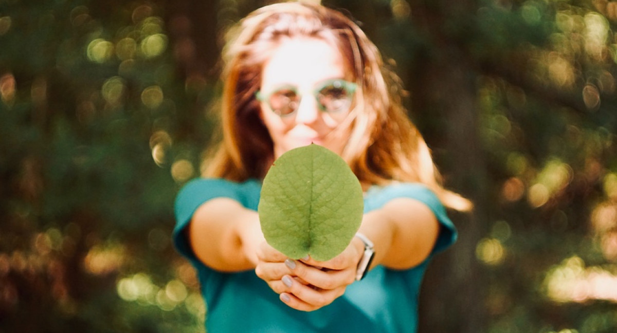 Medio ambiente. Foto: Unsplash.