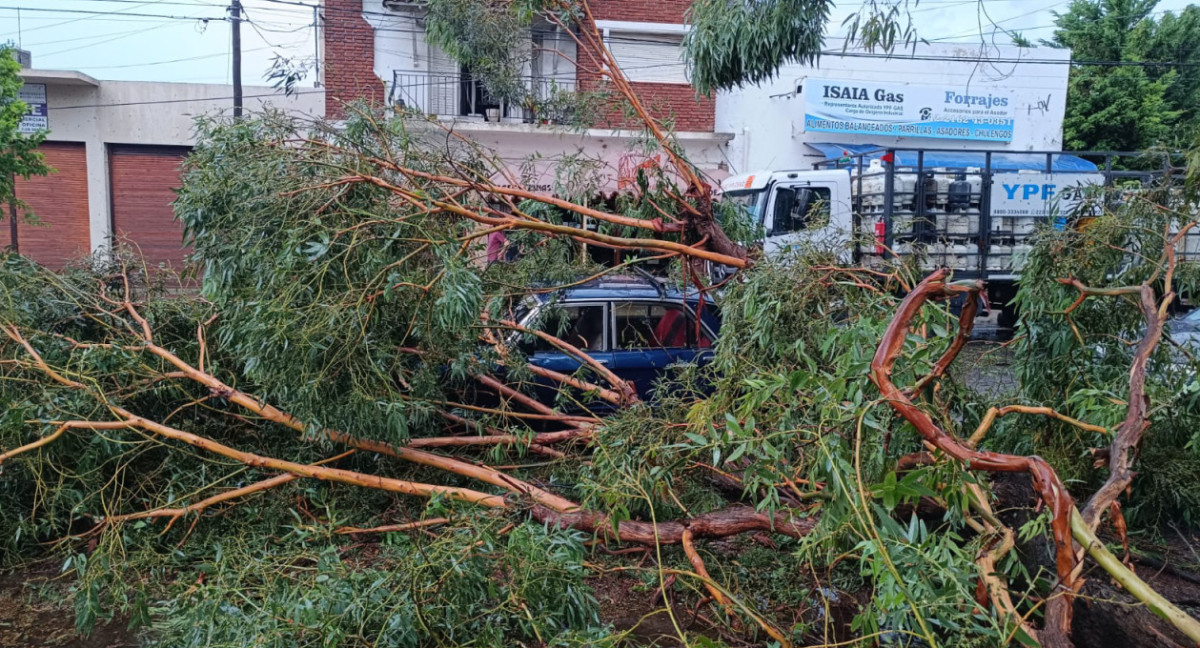 Temporal en Miramar. Foto: NA.