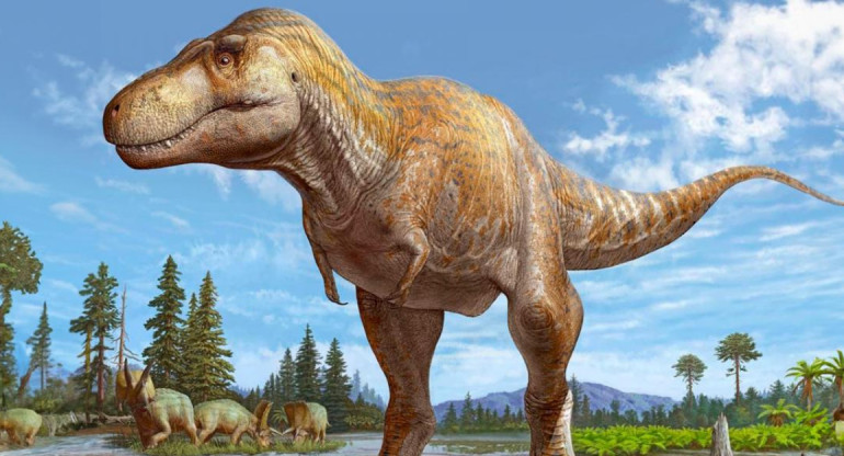 Tyrannosaurus mcraeensis. Foto: Télam.