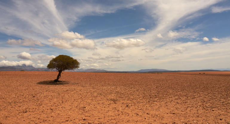 Calentamiento global. Foto: Unsplash