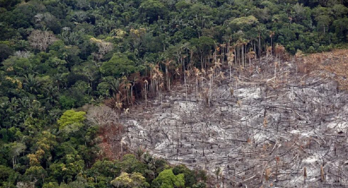 Parque Nacional Natural Tinigua. Foto: EFE