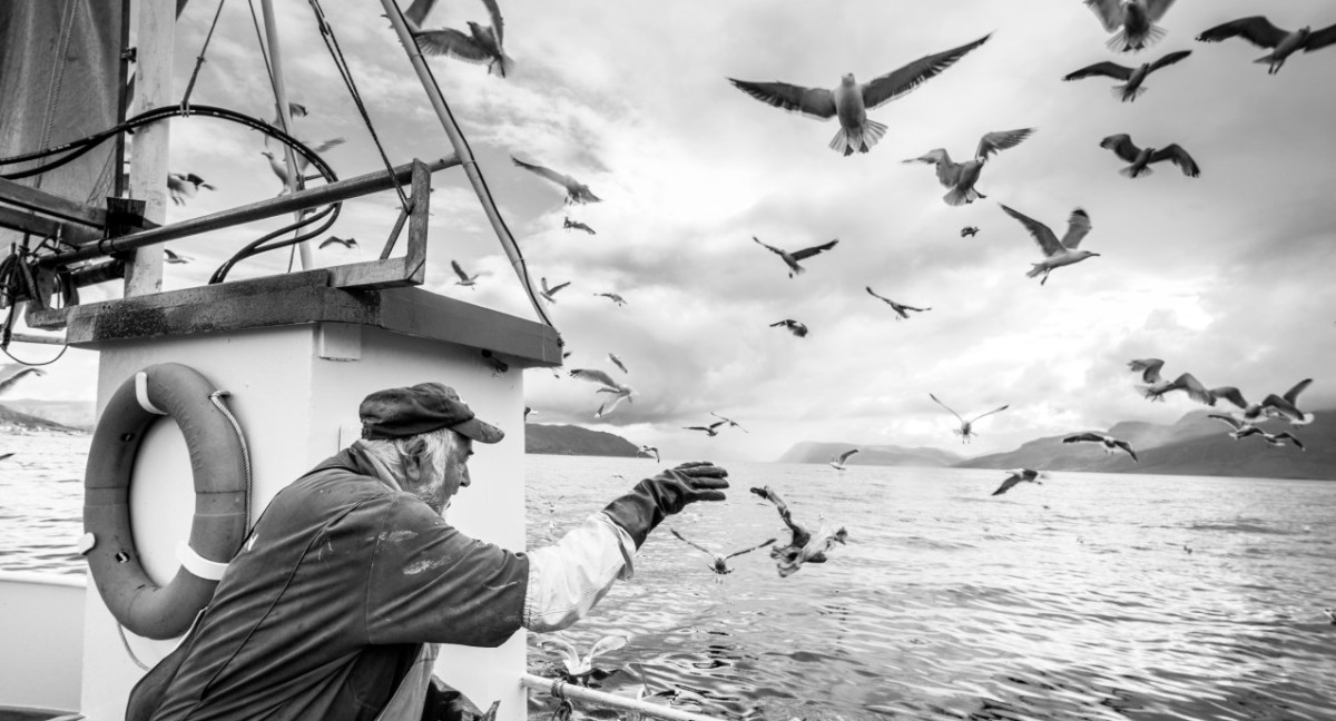 Pescador. Foto: Unsplash.