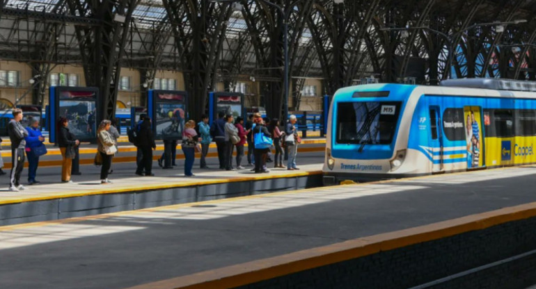 Trenes argentinos, ferrocarril, transporte. Foto: X