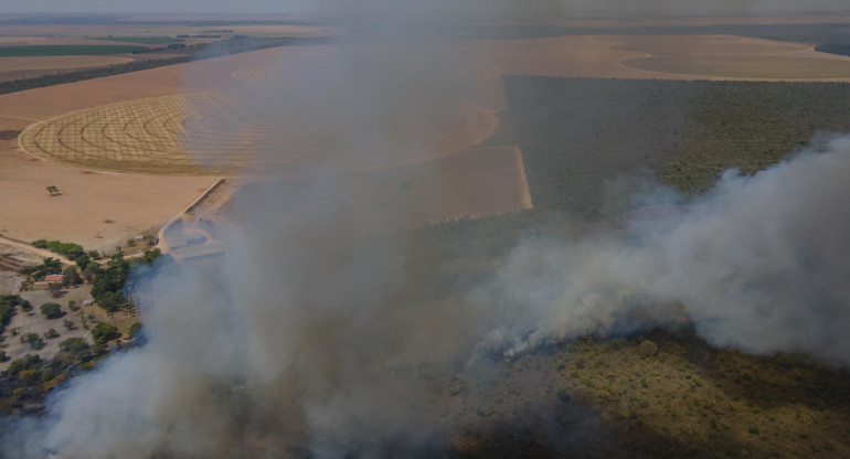 Deforestación en el Cerrado, Brasil. Foto: EFE.