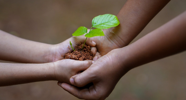 Medio ambiente. Foto: Pixabay.