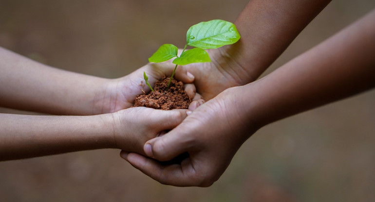 Medio ambiente. Foto: Pixabay.