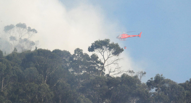 Incendios forestales en Colombia. Foto: EFE