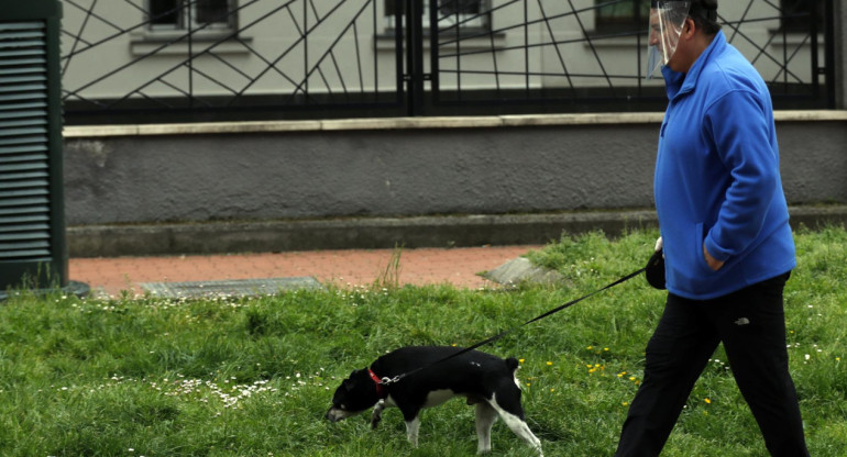 Perros. Foto: EFE