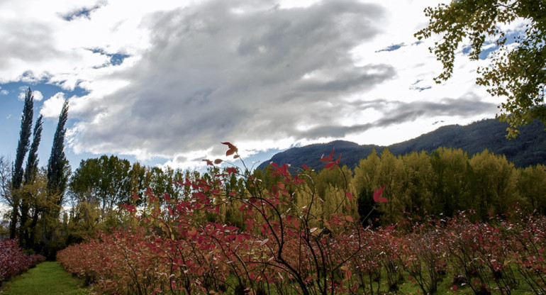 Comarca Andina. Foto: Télam