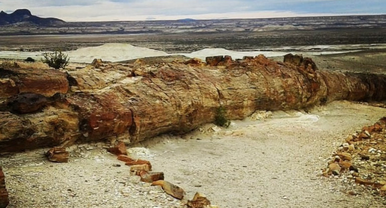 Los Bosques Petrificados de Jaramillo. Foto Instagram.