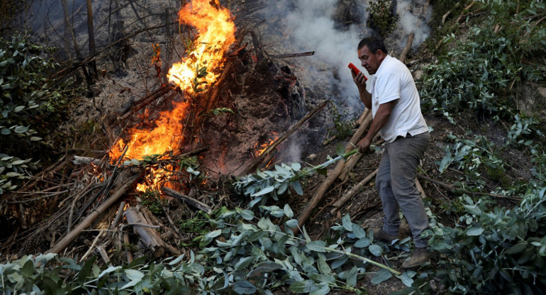 Incendios forestales Colombia. Foto: Reuters