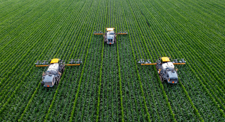 Agricultura China. Foto: Unsplash